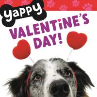 Yappy Valentine's Day!